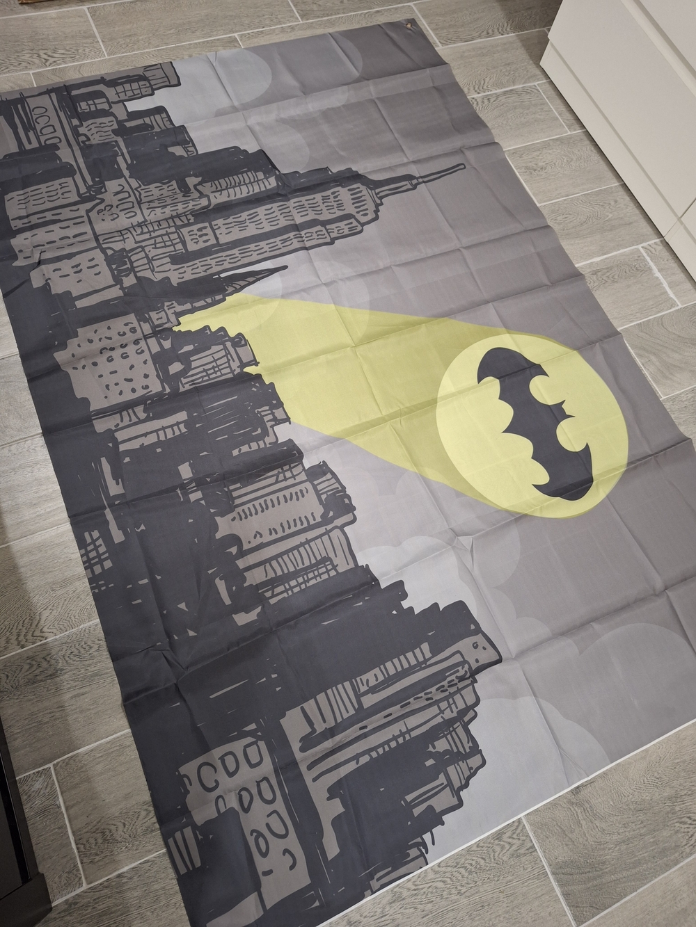 Batman Backdrop - Picture 2 of 4